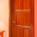 Six panel mahogany door, arch top