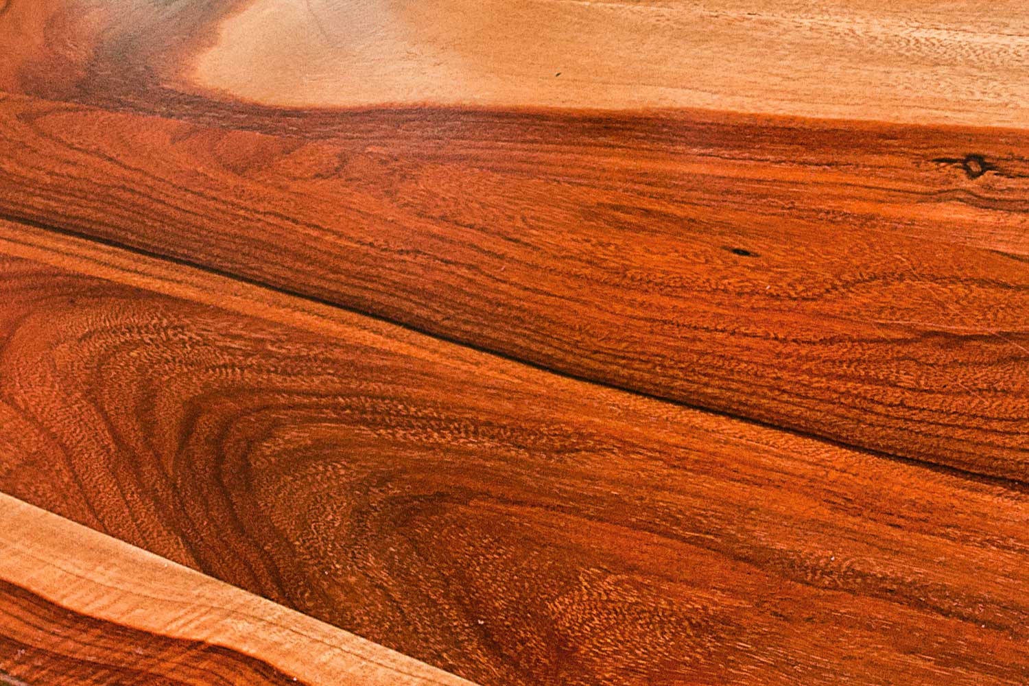 Types of wood in Belize